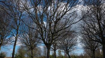 Famed for its granite and