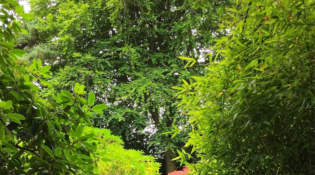 Piccolo ma ben fatto