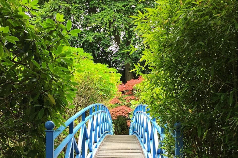 A blue bridge surrounded by lush greenery and red foliage.