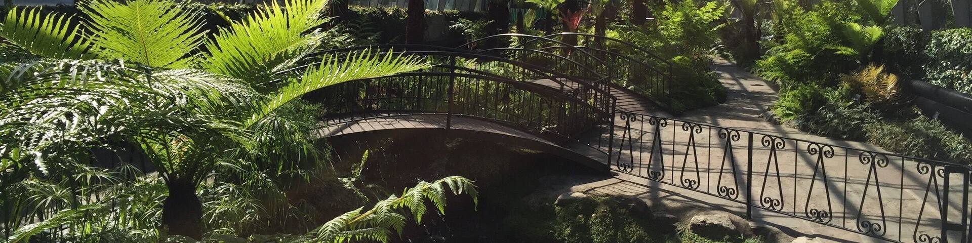 A greenhouse with a glass roof, a central walkway, and various tropical plants.