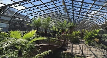 I love the Winter Gardens in Aberdeen. Constantly changing throughout the year. This is the fern house in April 2015. There's lots of information about the different plants and why they are grown too.