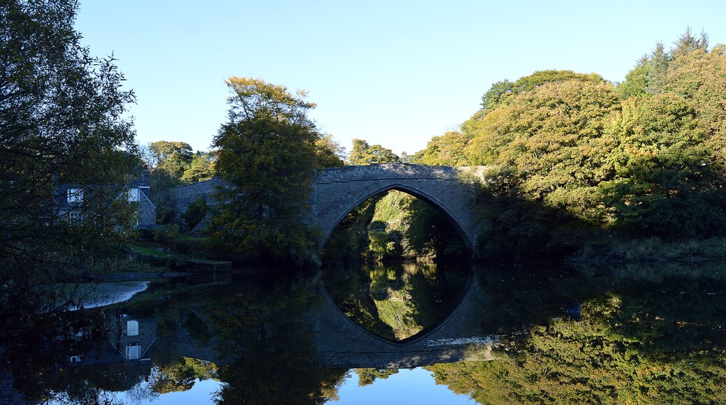 Autumn colours at Brig o' Balgownie, Aberdeen, Scotland