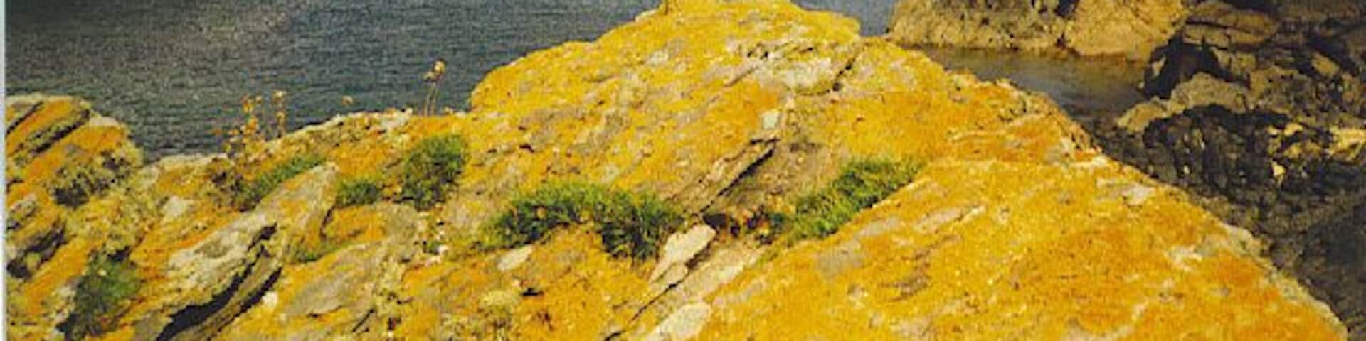 A coastal landscape with rocky cliffs and a body of water.