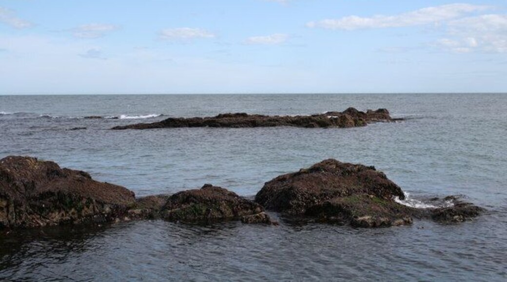 Rocks South of Greg Ness. Visible at low tide, these seaweed and barnacle rocks are appreciated by the sea birds until human geographers come a stumblin' across the rocks.