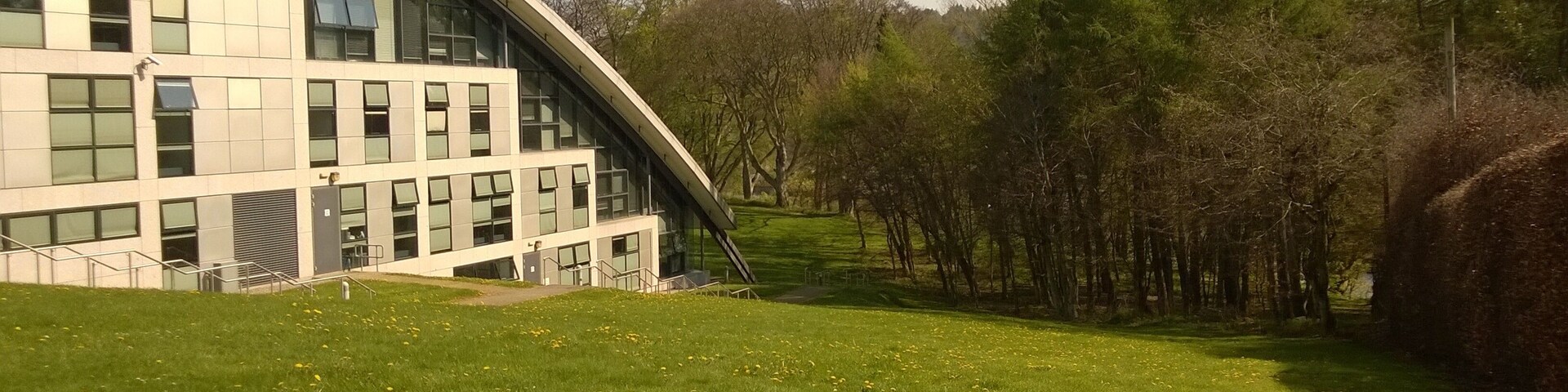 The Robert Gordon University, Aberdeen, Scotland: Business School building and meadow with wildflowers. Dandelions are in bloom.