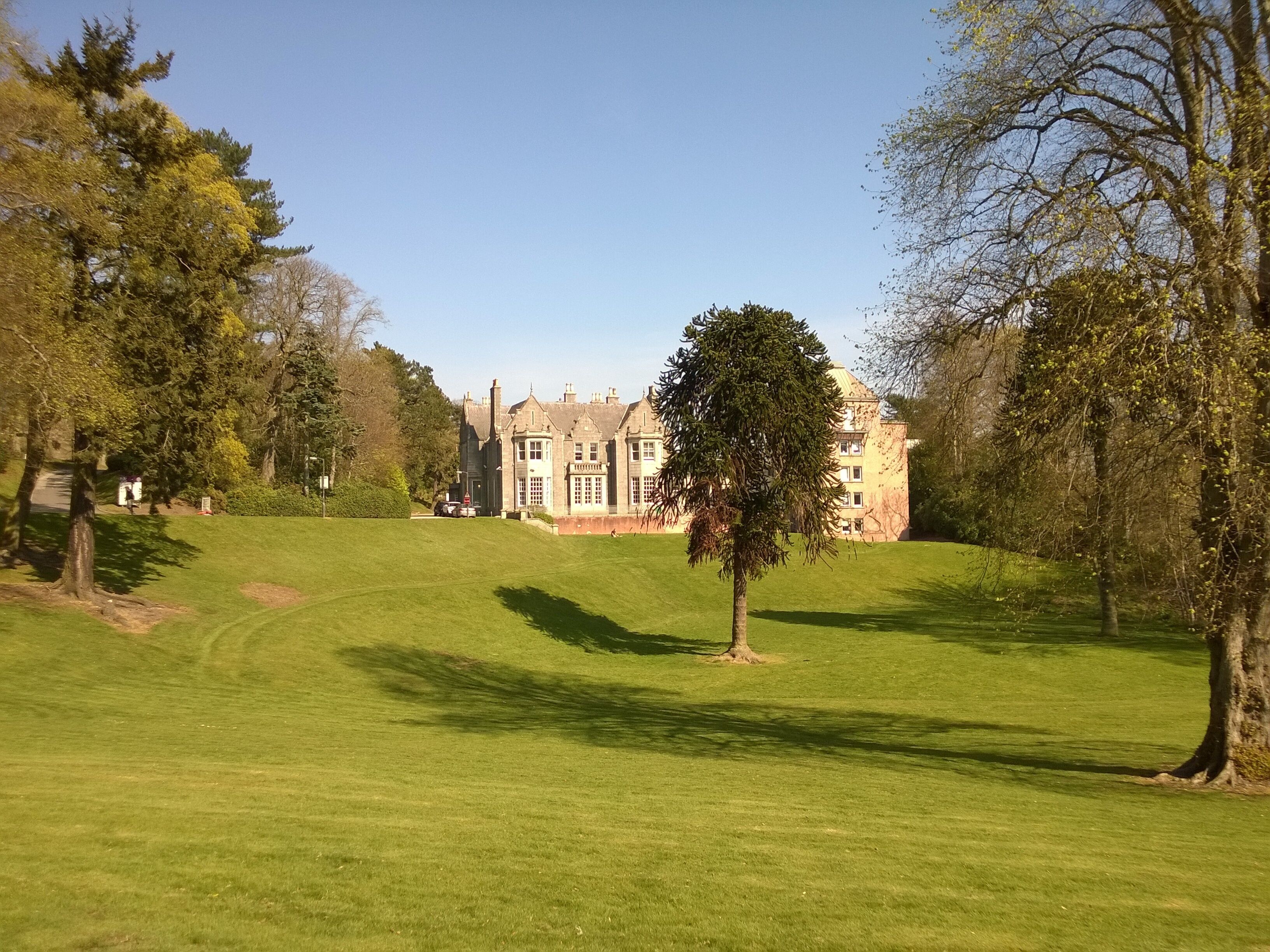 The Robert Gordon University, Aberdeen, Scotland: Garthdee House seen across lawn (to left of monkey puzzle tree). To the right of the tree is the Square Tower student residences.
