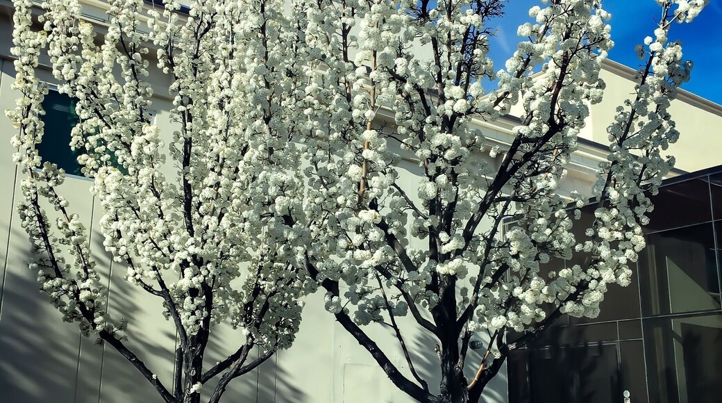 Spring has sprung at the Nevada State Museum
#springfun