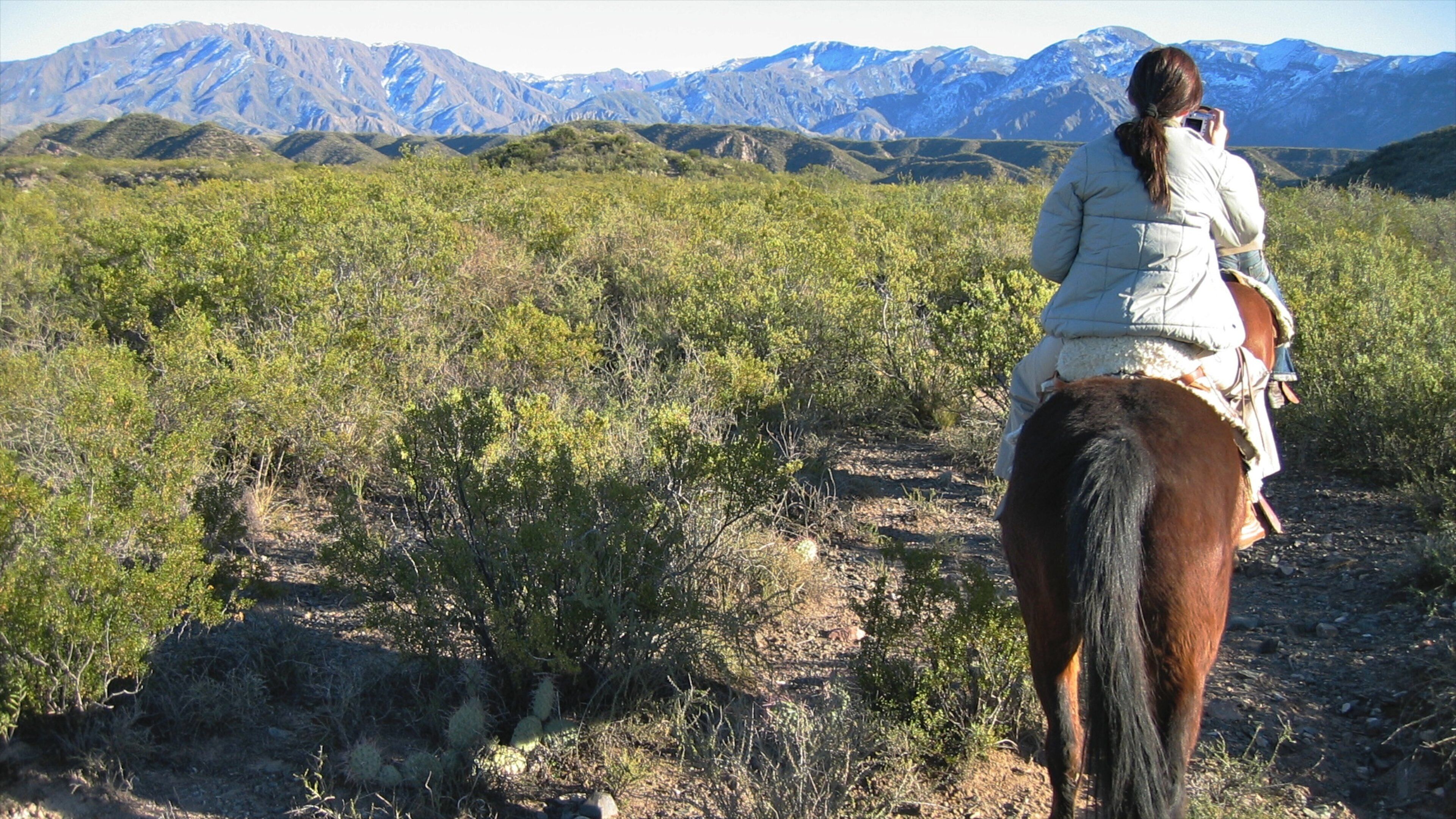 Mendoza Wine Region which includes horseriding, mountains and land animals