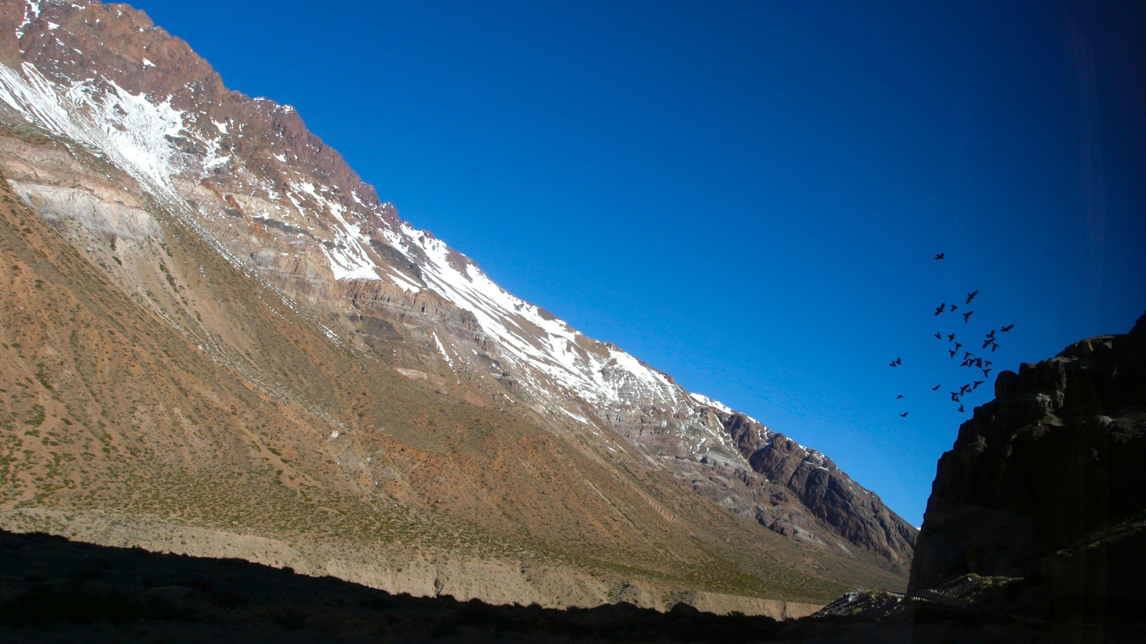 Vignoble de Mendoza mettant en vedette montagnes