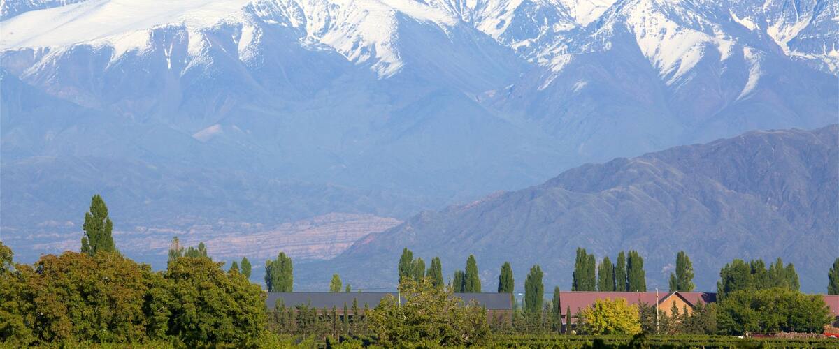 Mendoza Wine Region