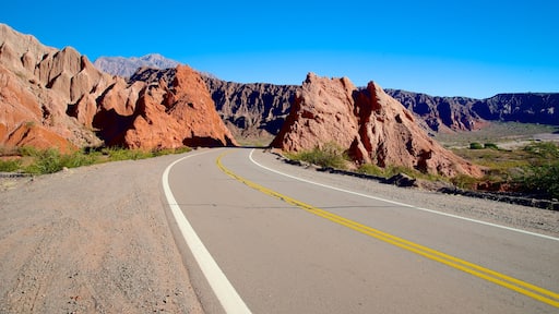 Northwest Region showing desert views and street scenes