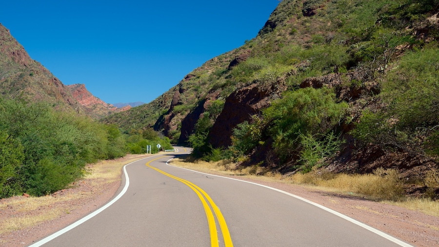 Northwest Region which includes street scenes