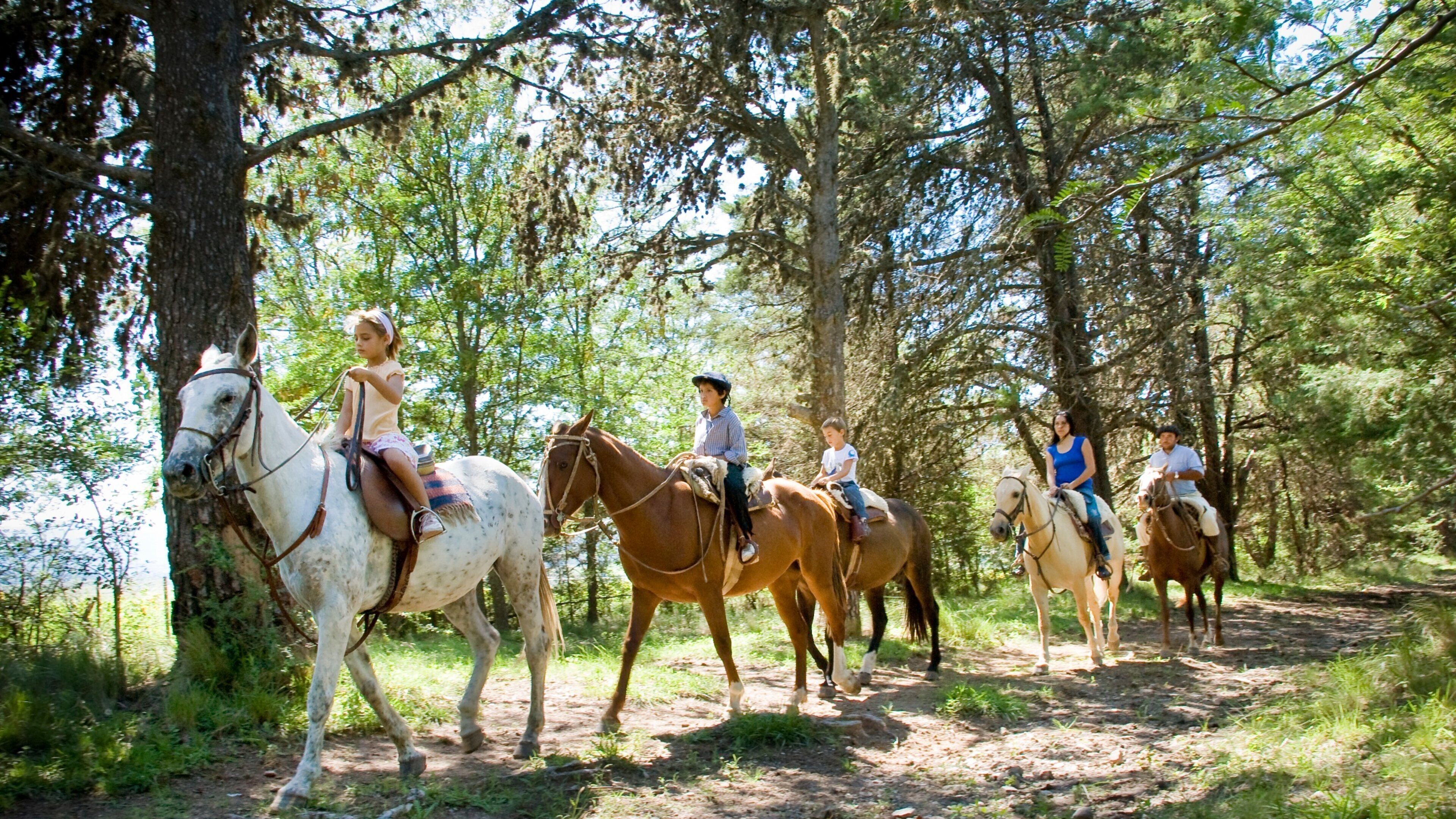 Córdoba que incluye animales terrestres y equitación y también un gran grupo de personas