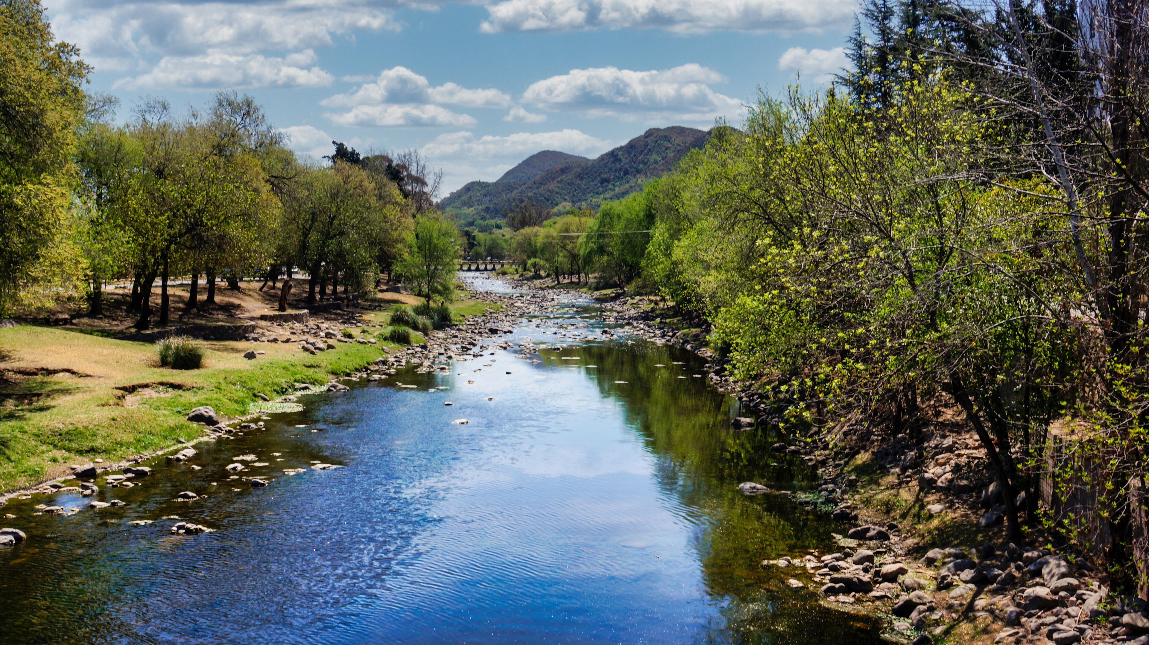 A river flowing through a valley with trees and mountains in the background.