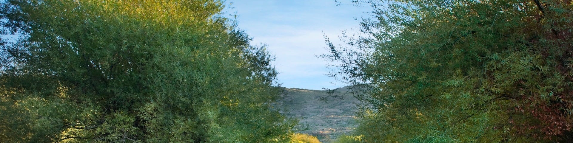 Cordoba showing a river or creek