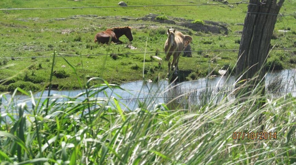 muy lindo lugar para conocer en la provincia de buenos aires por sus sierras y variada vegetacion.