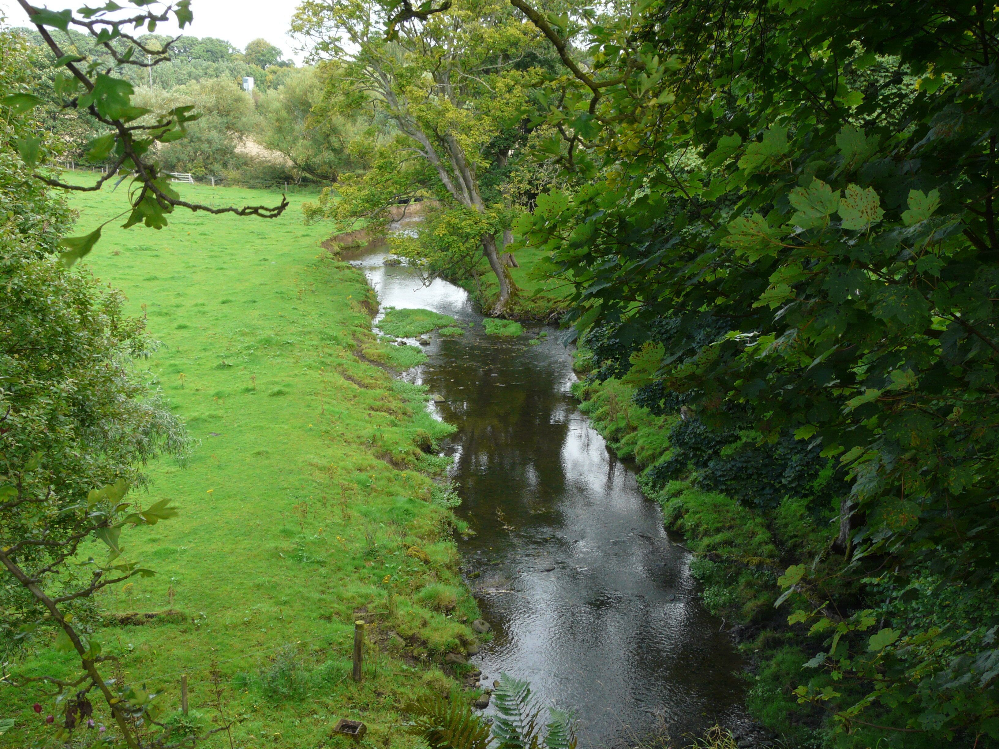 Below The Union Canal, Ratho