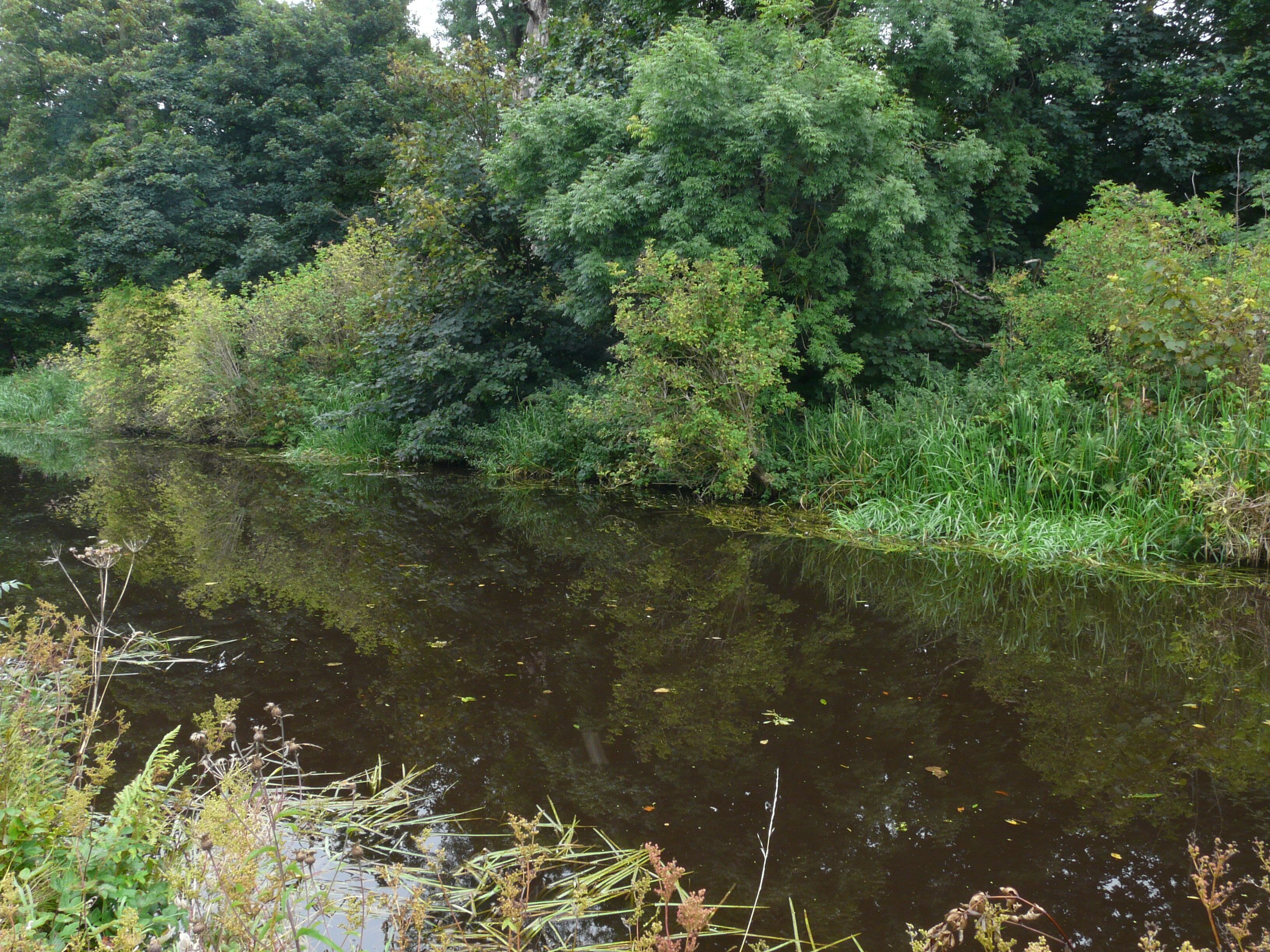 The Union Canal, Ratho