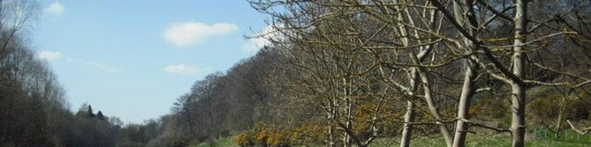 A narrow path beside a river, flanked by stone walls and leafless trees.