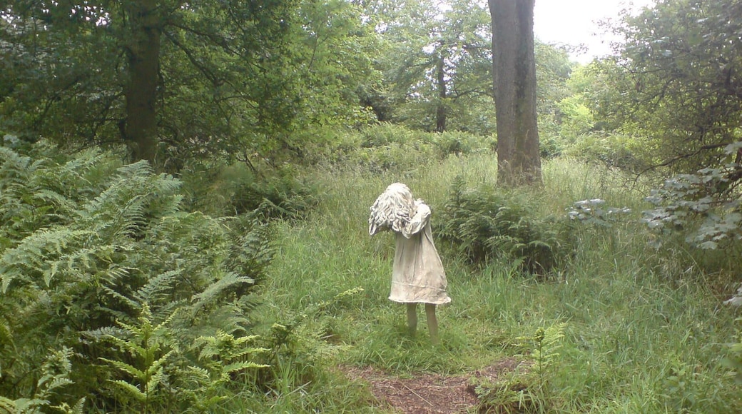 "Weeping Girls" by Laura Ford