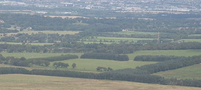 Field and shelterbelt The dense pattern of shelterbelts at Cockburnhill under the Pentland Hills. Western Edinburgh in the background. View from East Cairn Hill.