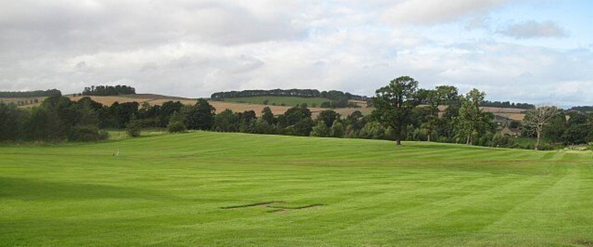 A green field with trees and hills in the background.