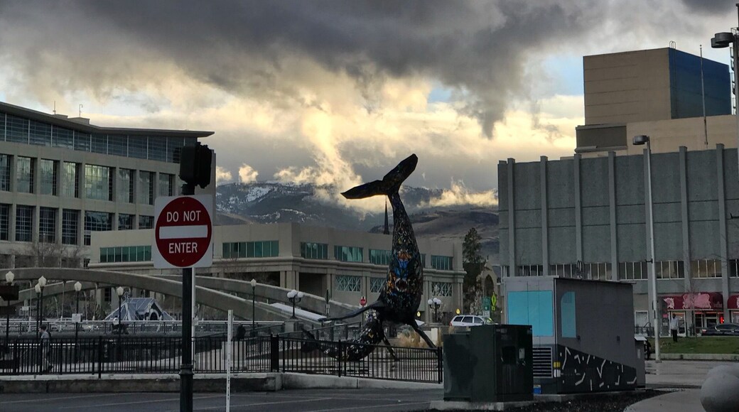Rainy spring night in Reno