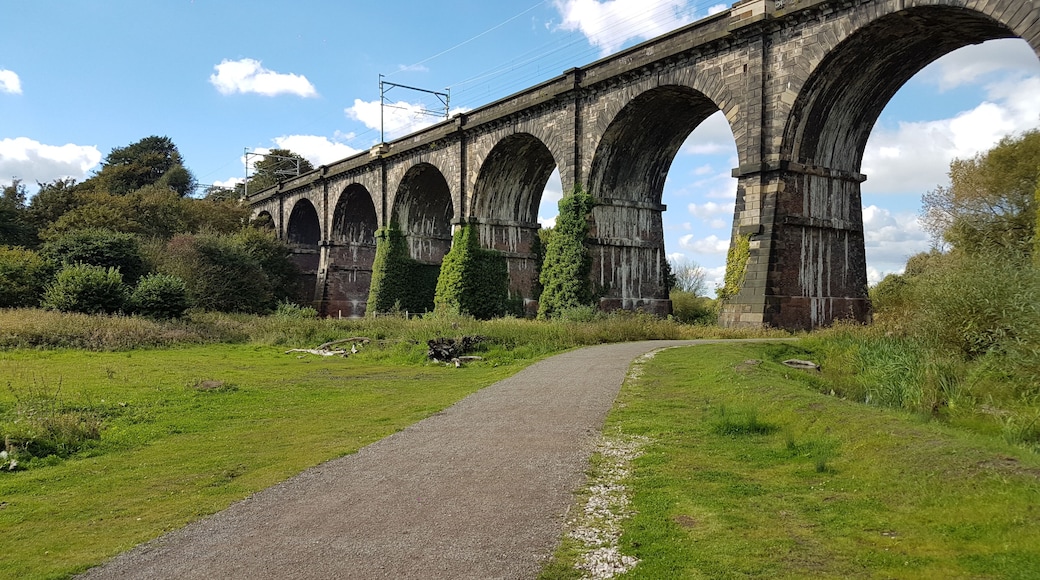 Picture of the Sankey Viaduct (built between 1828 - 1830) taken on October 2016.