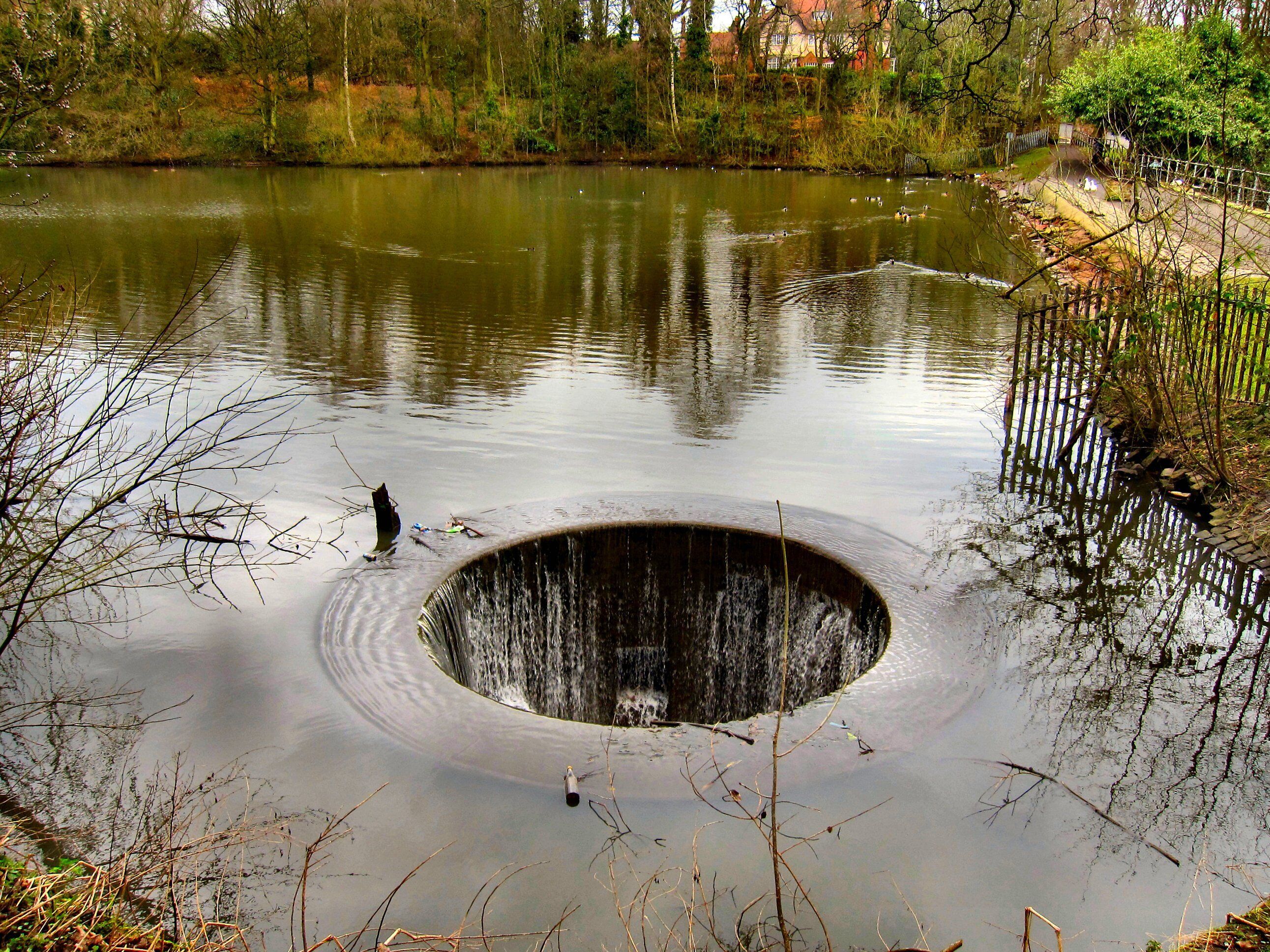 As I took this shot the song by the Eagles came to mind. Taken in Willow Park. Newton le Willows. Merseyside UK.