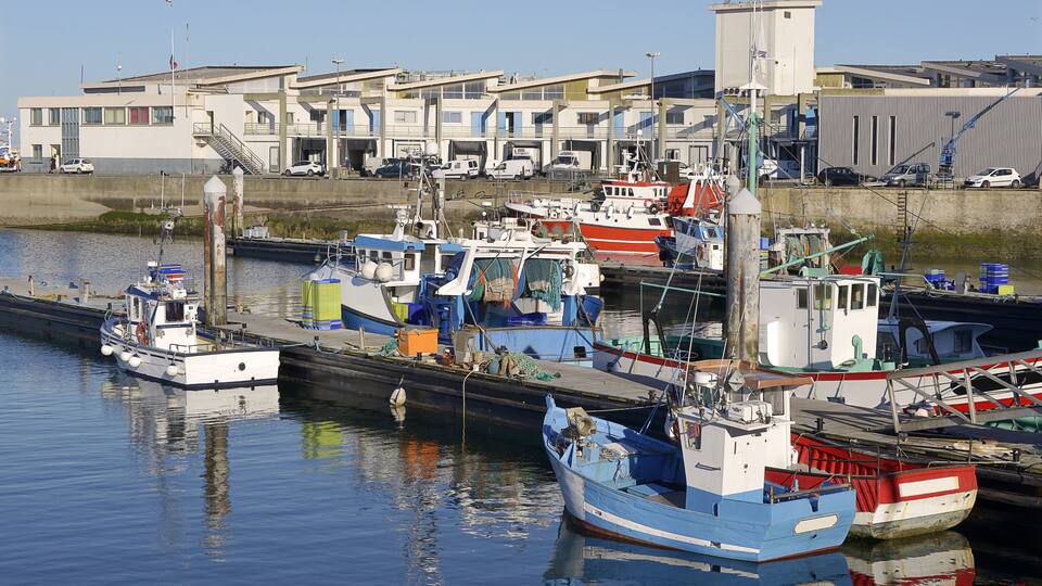 A harbor with several boats docked, a building with a staircase, and a clear sky.