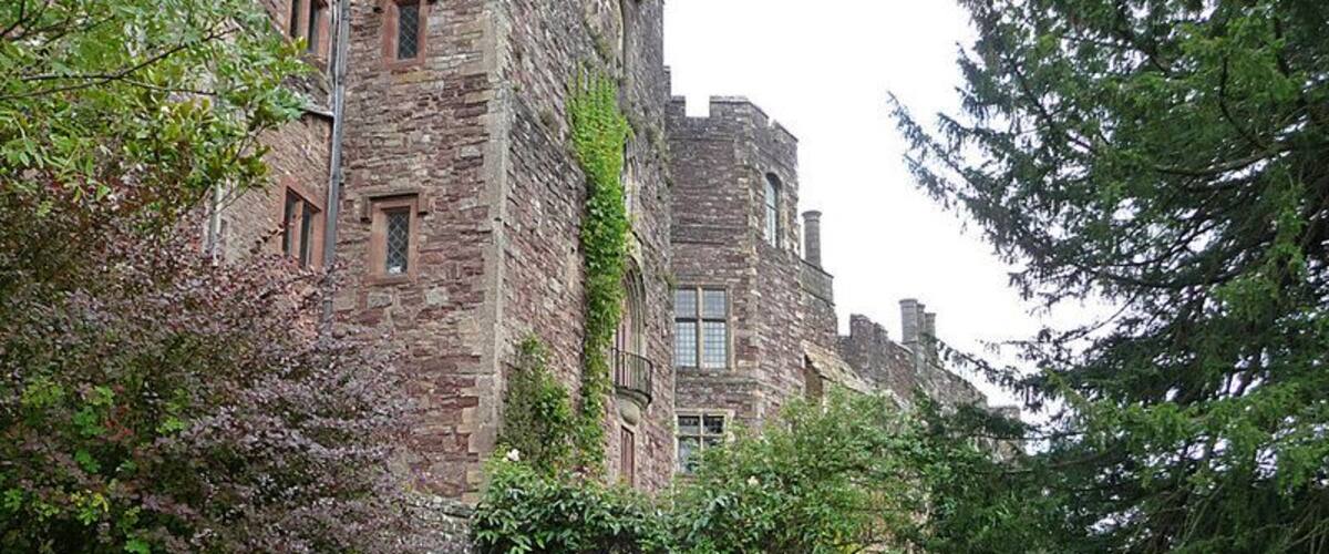 Berkeley Castle, garden