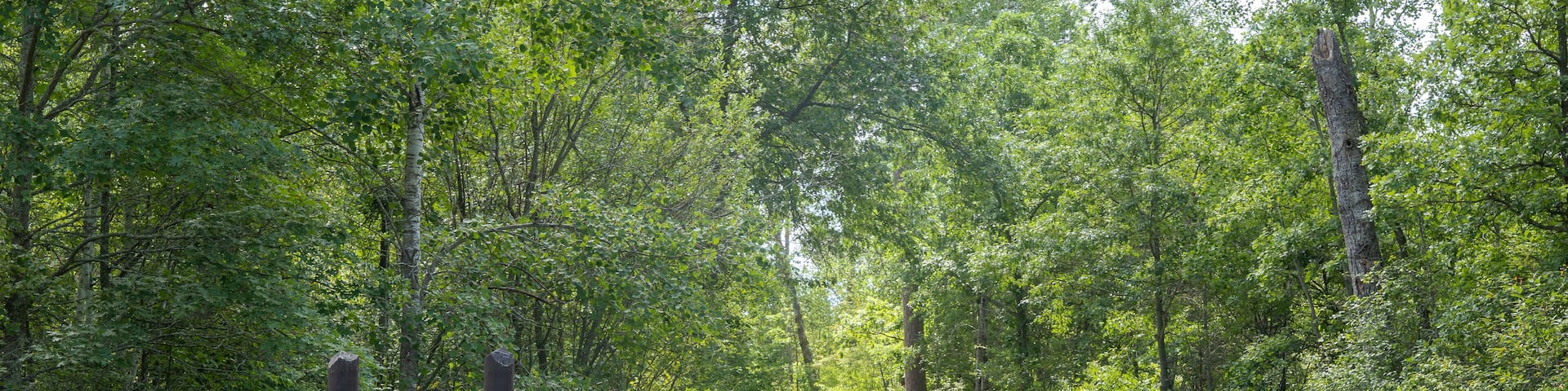 Wooden welcome and directional sign for the Wilderness Drive in the Itasca State Park in Minnesota.