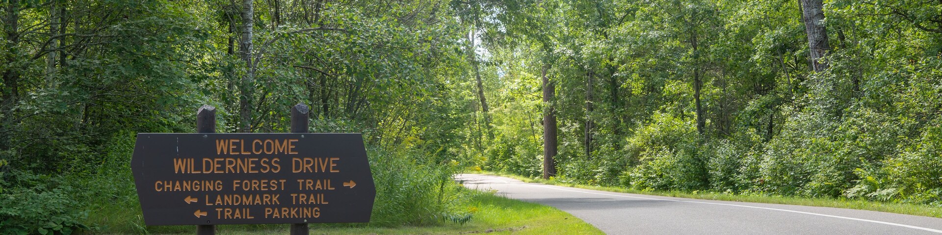A welcome sign for Wilderness Drive, Changing Forest Trail, Landmark Trail, and Trail Parking.