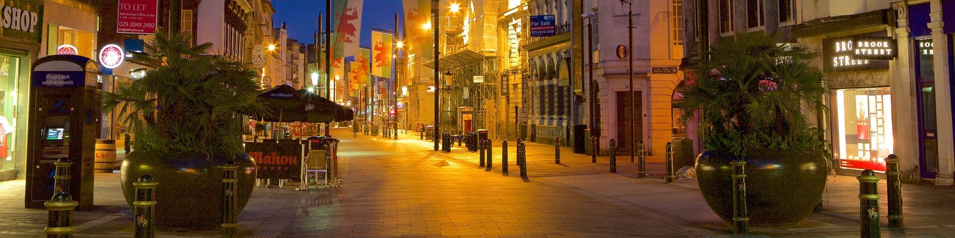 Cardiff showing a city, street scenes and night scenes