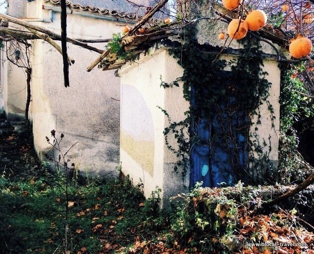 When -around 40 years ago- all the small schools in the countryside were shut down to be merged into larger schools, Borgo Forglieta lost its popularity and was eventually abandoned.

Read about ghost towns in Lazio (central Italy) here: http://www.blocal-travel.com/urbex/ghost-town/abandoned-lazio-ghost-town/