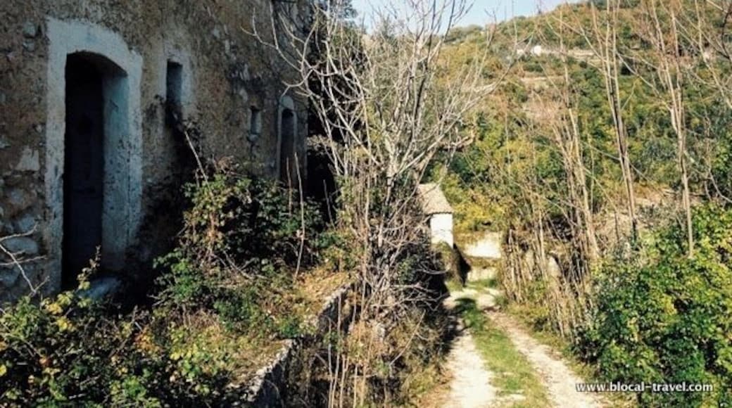 The ghost town of Montecoccioli is composed of a few stone houses aligned on an unpaved road. There is almost nothing left in the houses and all roofs are collapsed.
Read about ghost towns and abandoned places in Lazio (central Italy) here: http://www.blocal-travel.com/urbex/ghost-town/abandoned-lazio-ghost-town/