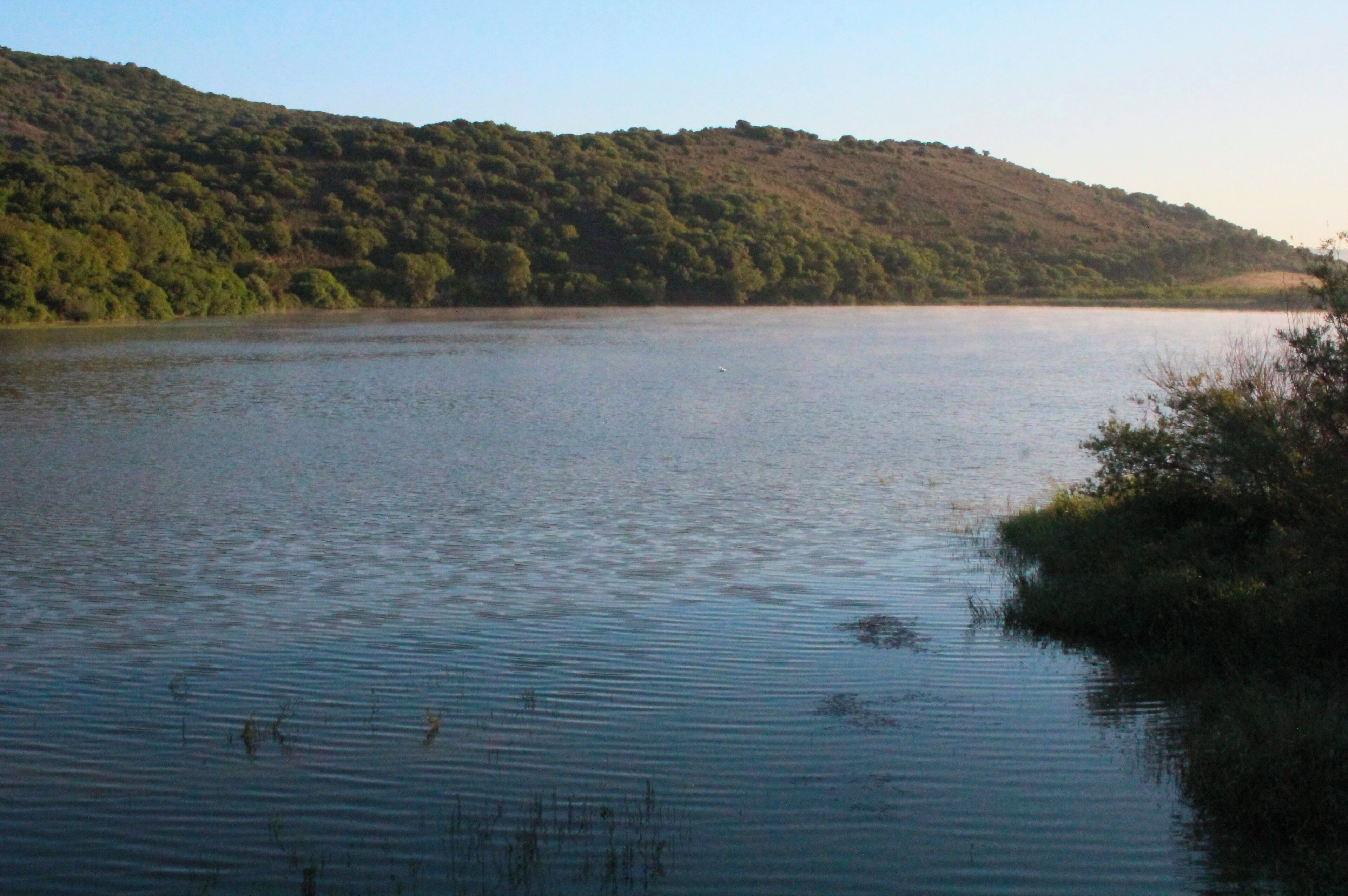 Lake Lago di San Floriano, Capalbio, Province of Grosseto, Tuscany, Italy