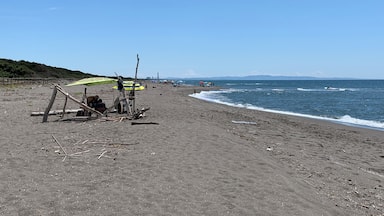 WWF beach near Capalbio in Tuscanyâs coast. Very secluded spot even during the high season.