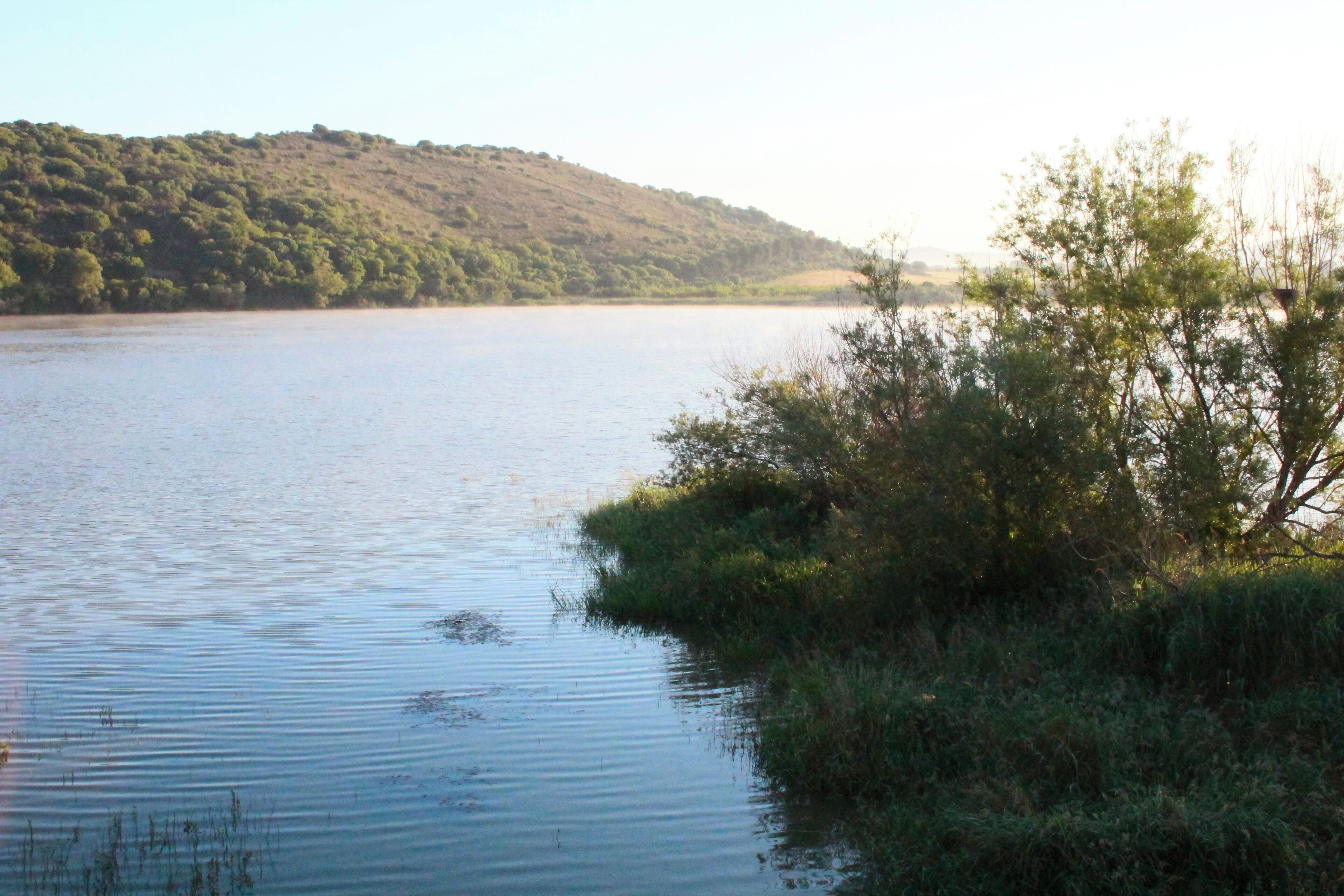 Lake Lago di San Floriano, Capalbio, Province of Grosseto, Tuscany, Italy