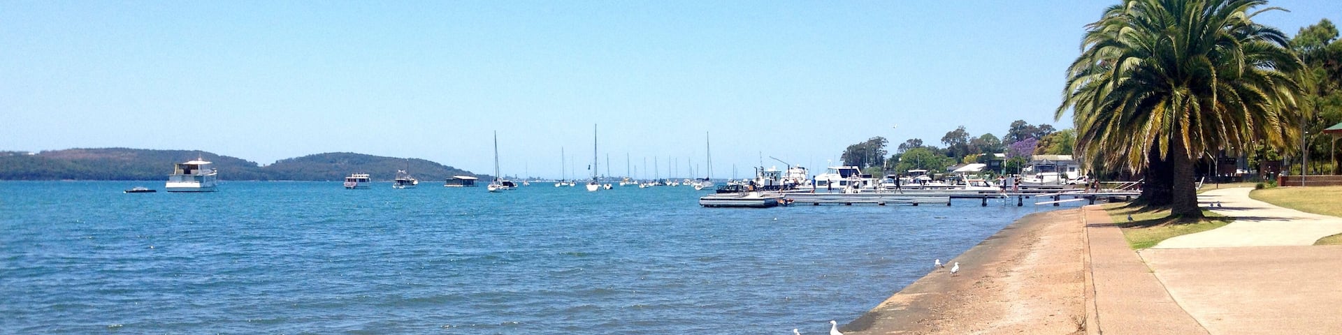 Scene of Toronto, Lake Macquarie NSW Australia.
