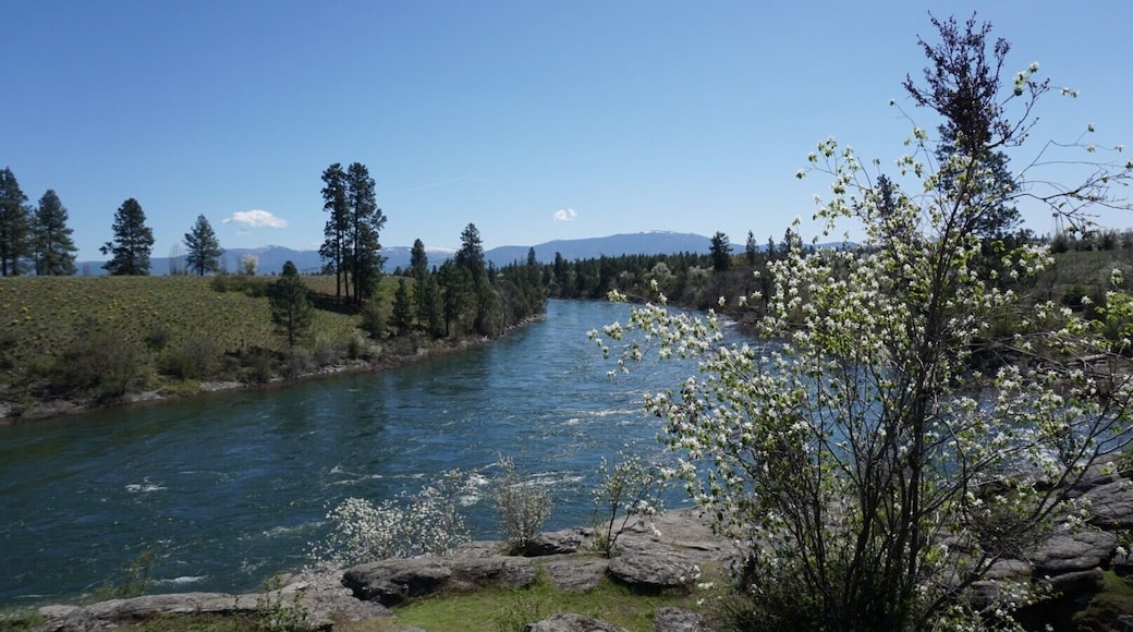 A hammock view that's easy on the eyes