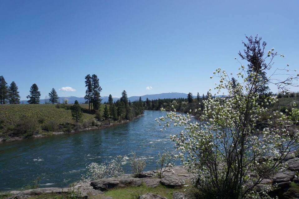 A river with trees and mountains in the background.