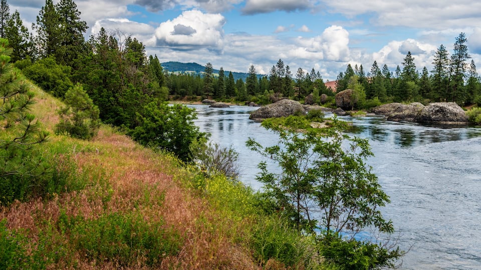 A river flowing through a forested area with large rocks and mountains in the background.
