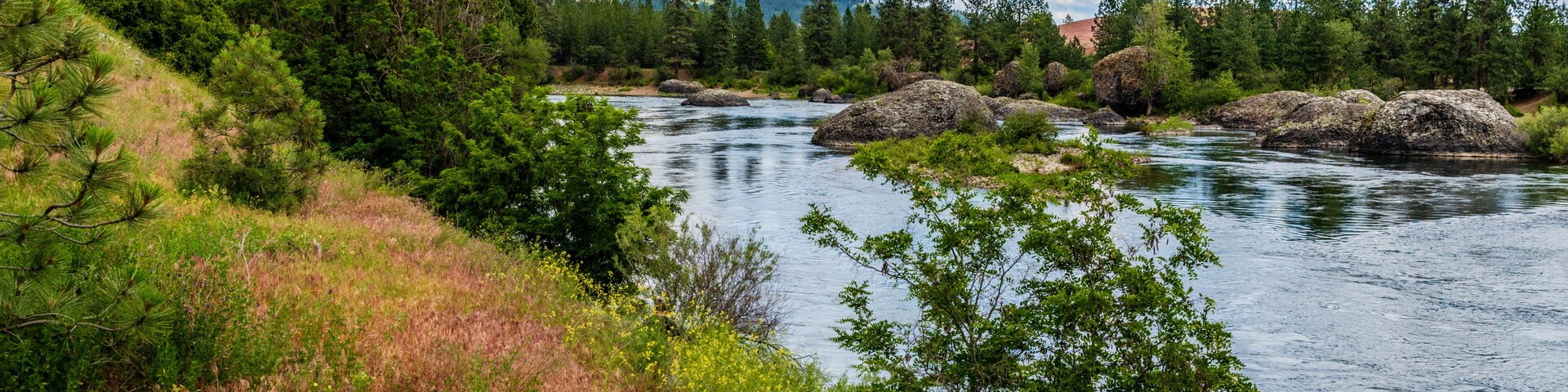 A river flowing through a forested area with large rocks and mountains in the background.