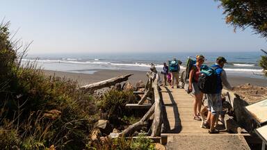 A wooden boardwalk leading to a beach with ocean waves in the background.