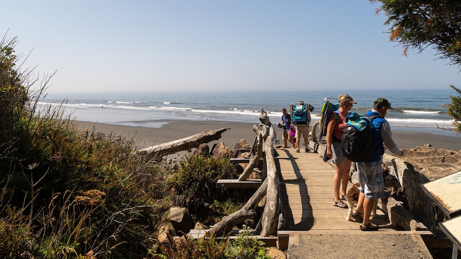 Kalaloch which includes general coastal views as well as a small group of people