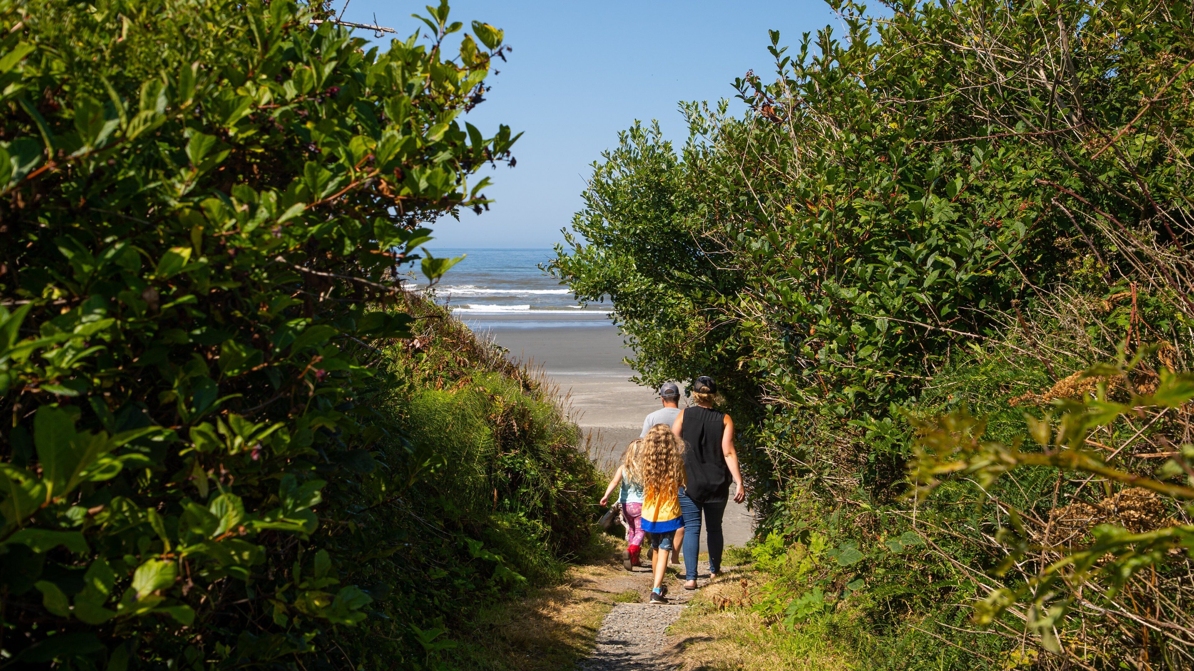 Kalaloch which includes general coastal views and a beach as well as a family