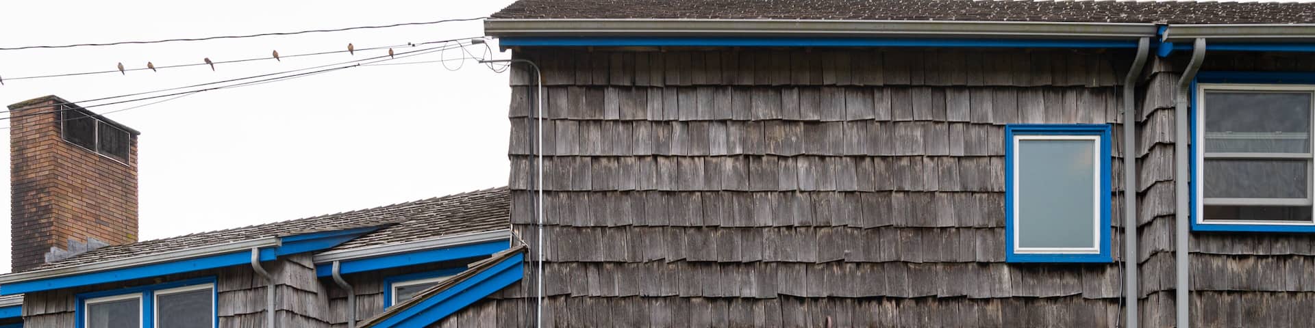 Kalaloch which includes signage