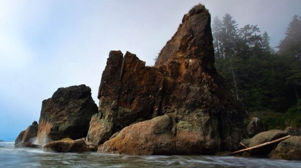 This is actually an out copped piece of rock. I was pretty far out with my tripod at this point. Luckily the waves were small. The fog was moving in fast so I really wanted to get it before I couldn't see 10 feet.