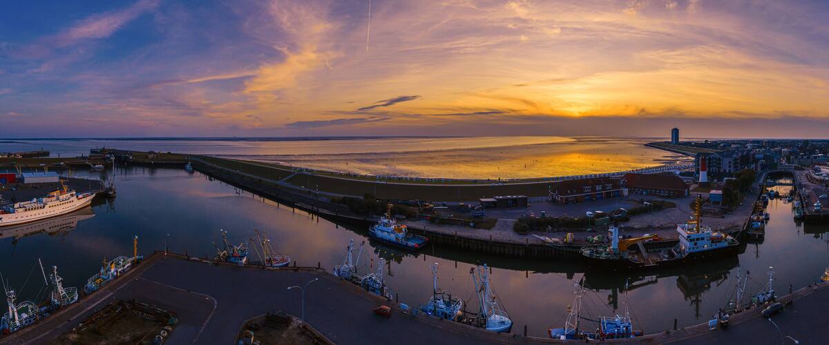 A harbor at sunset with boats, a bridge, and a distant cityscape.